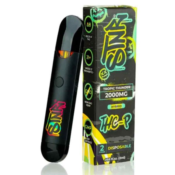 STNR THC-P Disposable | 2G
