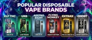 Popular Disposable Vape Brands